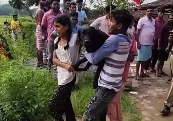 Jashpur: कुत्तों के हमलों से दहशत, दो मासूम बच्चे गंभीर रूप से घायल