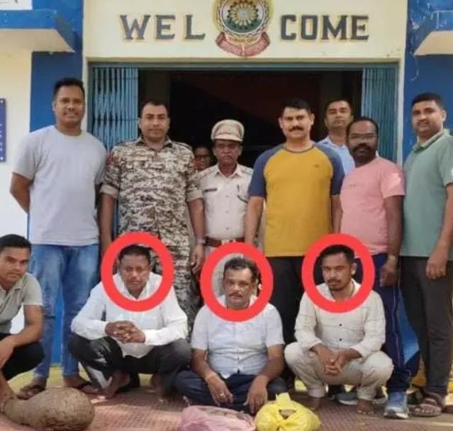 पैंगोलिन तस्करी नाकाम, Mahasamund पुलिस ने तीन सप्लायर को दबोचा