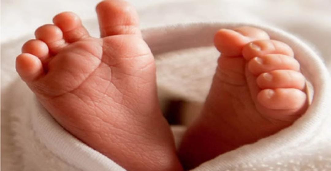 Jabdalpur: 48 घंटे बाद जिंदगी की जंग हारा नवजात,झाड़ियों में मिला था बच्चा, इलाज के दौरान मौत; मासूम की मां की तलाश