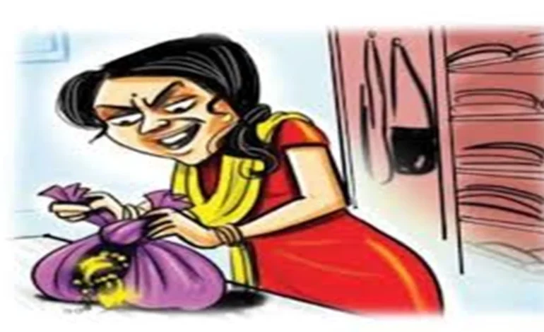 Raipur में रिटायर्ड बैंक मैनेजर के घर चोरी: चेहरा ढककर घुसी महिला चोर