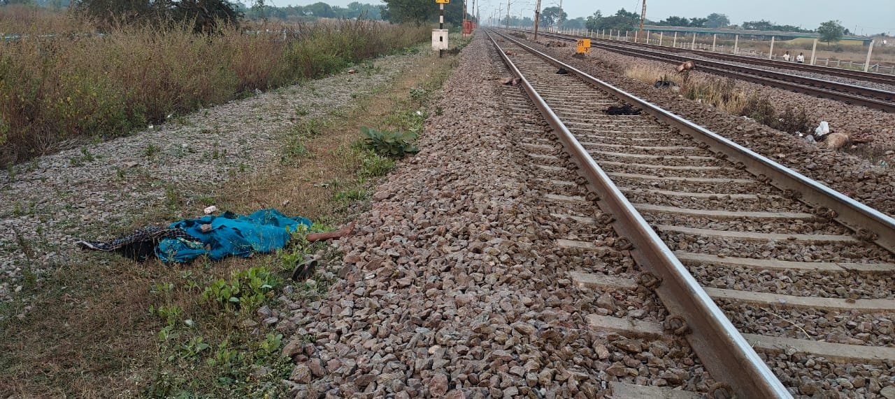 बोरतरा फाटक के पास दर्दनाक हादसा,  ट्रेन की चपेट में आने से चरवाही महिला और 16 बकरा-बकरियों की मौत
