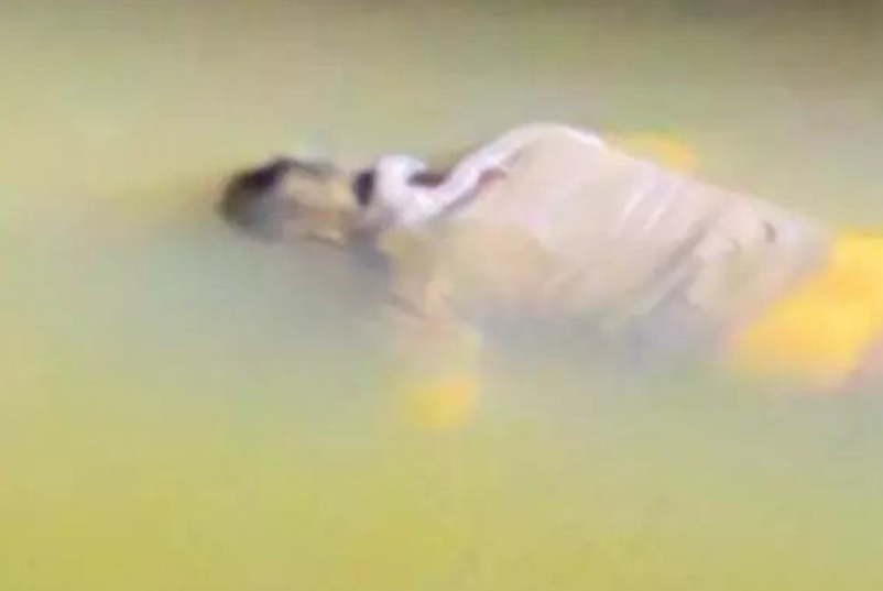 हाईकोर्ट अधिवक्ता  की संदिग्ध मौत पर विवाद तेज, सीनियर एडवोकेट्स ने की एसआईटी जांच की मांग