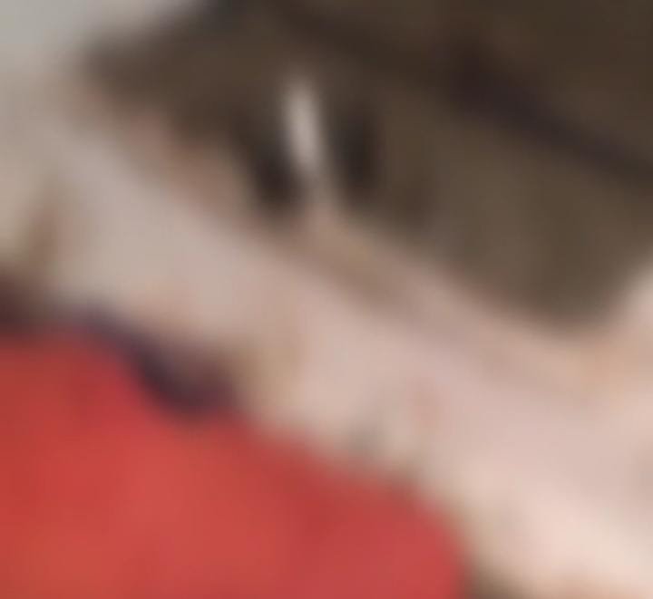 Raipur में दिल दहला देने वाली घटना, अत्यधिक शराब पीने से मां की मौत… सदमे में बेटी को आया हार्ट अटैक