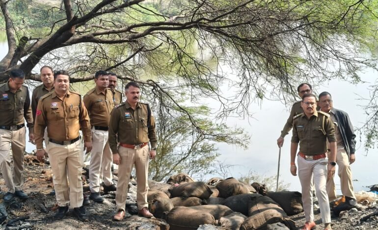 Raipur : घोरारी में अवैध महुआ शराब पर कार्रवाई