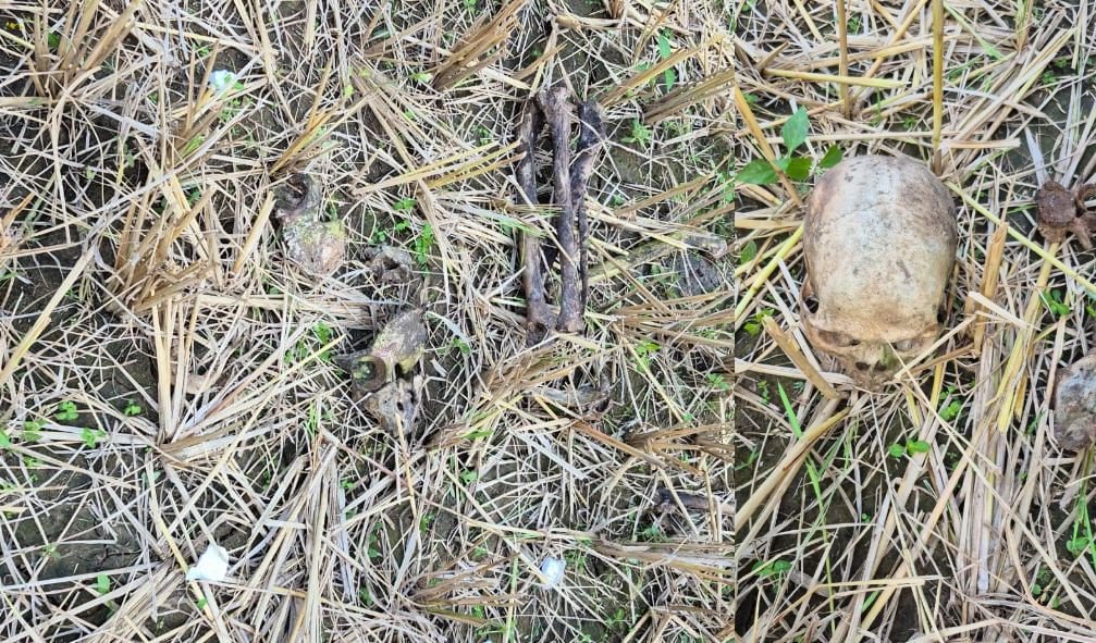 Surajpur: धान कटाई के दौरान मिला नर कंकाल, गांव में सनसनी…