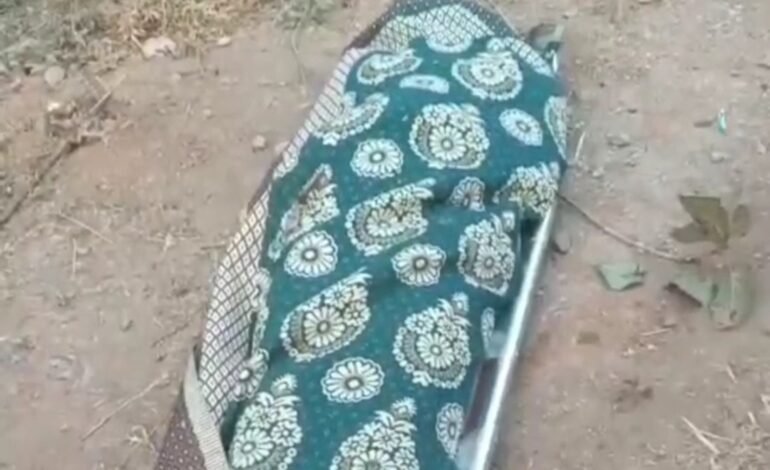 तिरुपति जा रही टूरिस्ट बस पेड़ से टकराई, एक युवक की मौत