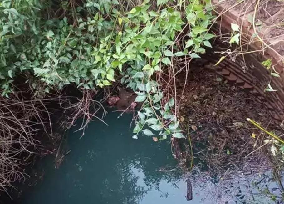 हाई वोल्टेज शिकारी जाल से युवक की मौत का खुलासा