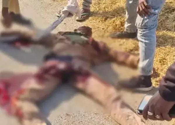 रामानुजगंज: बाइक-ट्रैक्टर भिड़ंत में दो युवकों की मौत, एक गंभीर घायल