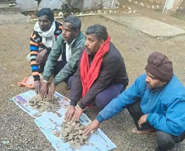 बलरामपुर में पेंगोलिन शल्क तस्करी का भंडाफोड़, चार आरोपी गिरफ्तार