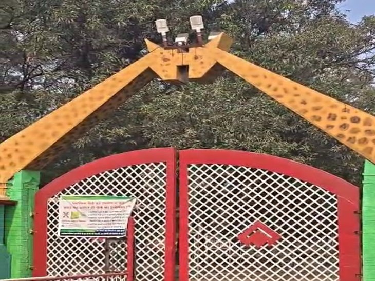 Bhilai : मैत्री बाग में सफेद बाघ ‘जया’ की संदिग्ध मौत