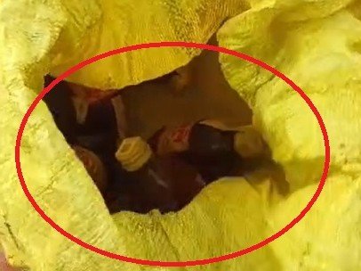 Raipur में खुलेआम बिक रही शराब, VIDEO से हुआ खुलासा