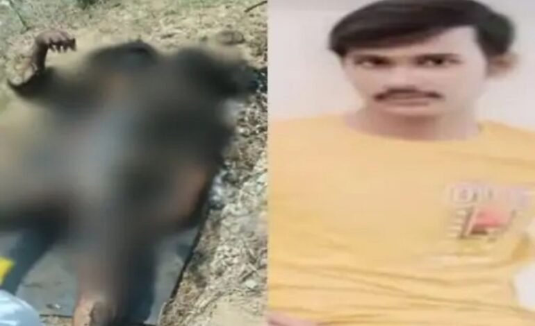 Raipur : मां से 300 रुपये लेकर निकला, फिर नहीं लौटा बेटा, पैसों के विवाद में युवक की हत्या, दो आरोपियों को उम्रकैद