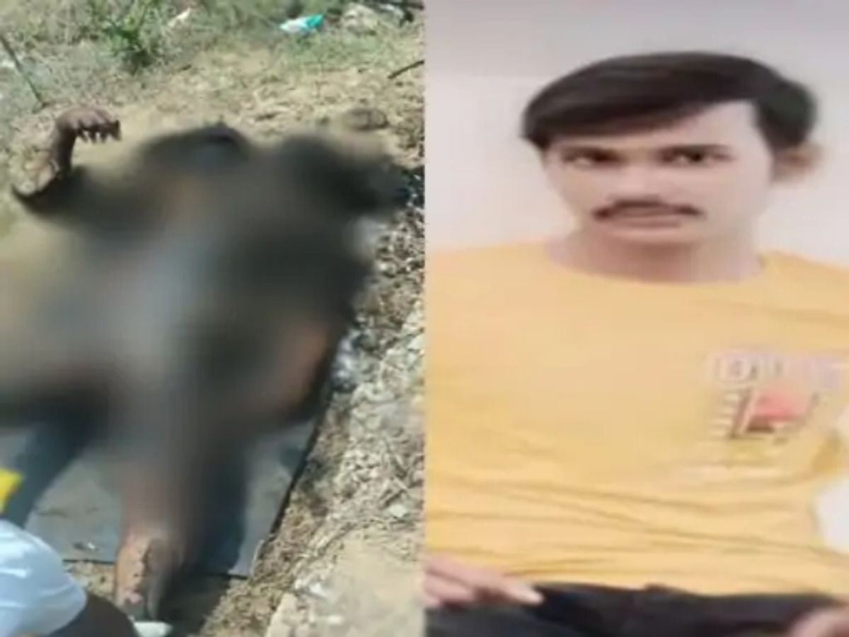 Raipur : मां से 300 रुपये लेकर निकला, फिर नहीं लौटा बेटा, पैसों के विवाद में युवक की हत्या, दो आरोपियों को उम्रकैद