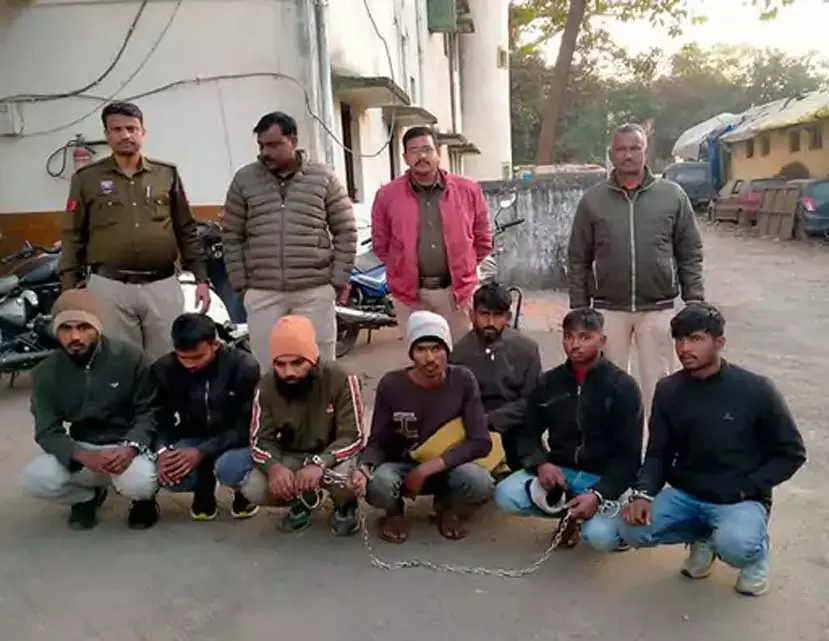 झारखंड से आकर छत्तीसगढ़ में मवेशी चोरी, Police ने अंतरराज्यीय गिरोह के 7 आरोपी को किया गिरफ्तार