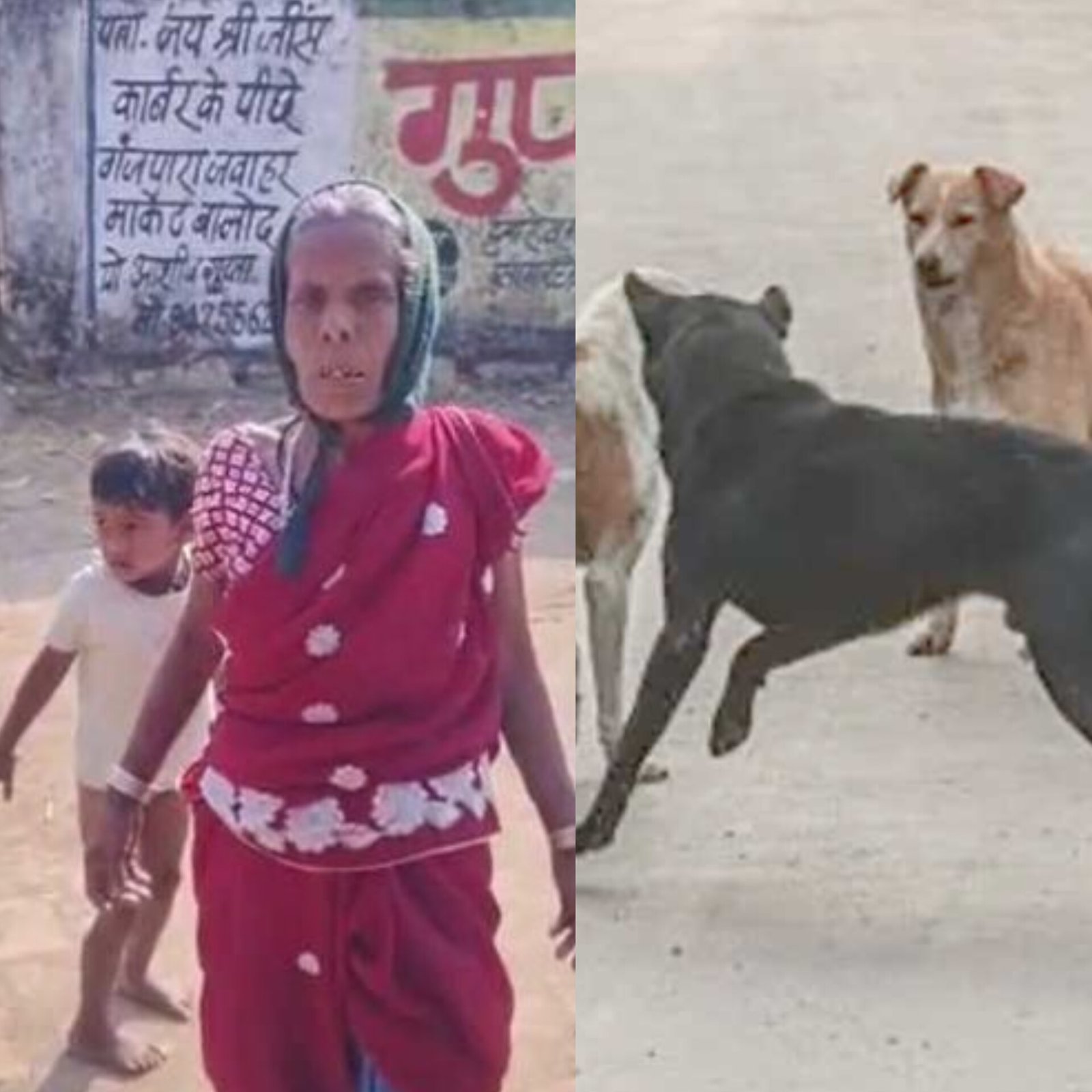 Balod के  दो गांवों में आवारा कुत्तों का आतंक, एक ही दिन में 10 लोग घायल