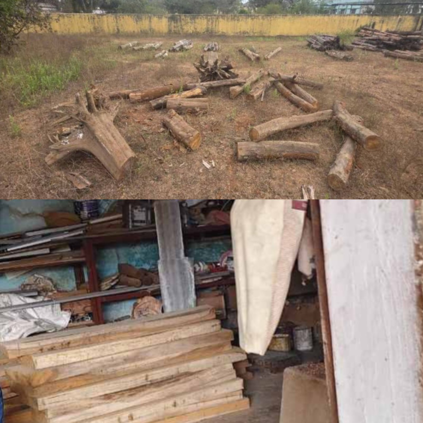 वन अफसरों ने सागौन की अवैध कटाई कराकर बनवाए लग्जरी फर्नीचर, Raipur की टीम छापामार जप्त किया अवैध चिरान