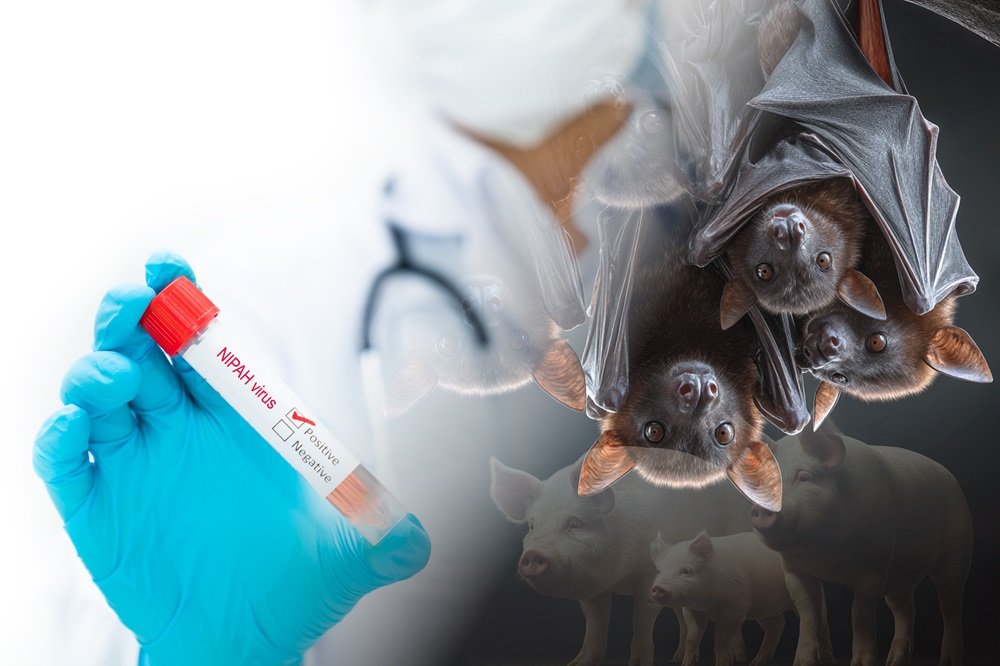 भारत में निपाह वायरस के दो मामले, WHO ने कहा— ‘घबराने की जरूरत नहीं’…