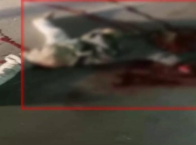 Durg में दर्दनाक सड़क हादसा, अज्ञात व्यक्ति की मौत