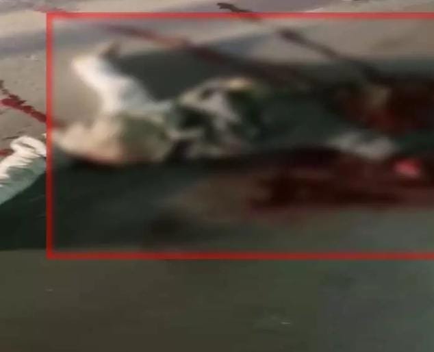 Durg में दर्दनाक सड़क हादसा, अज्ञात व्यक्ति की मौत