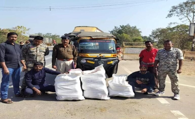 Mahasamund: ऑटो में गांजा तस्करी करते दो अंतर्राज्यीय तस्कर गिरफ्तार