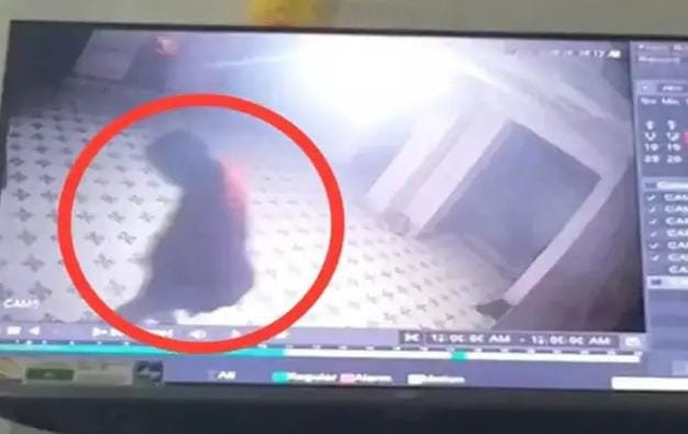 नगरी साईं मंदिर में दानपेटी चोरी: चोर CCTV में कैद, भक्तों में आक्रोश