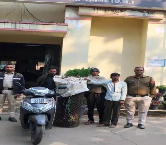 Raigarh में वन विभाग की फेंसिंग तार चोरी का मामला सुलझा, तीन आरोपी गिरफ्तार
