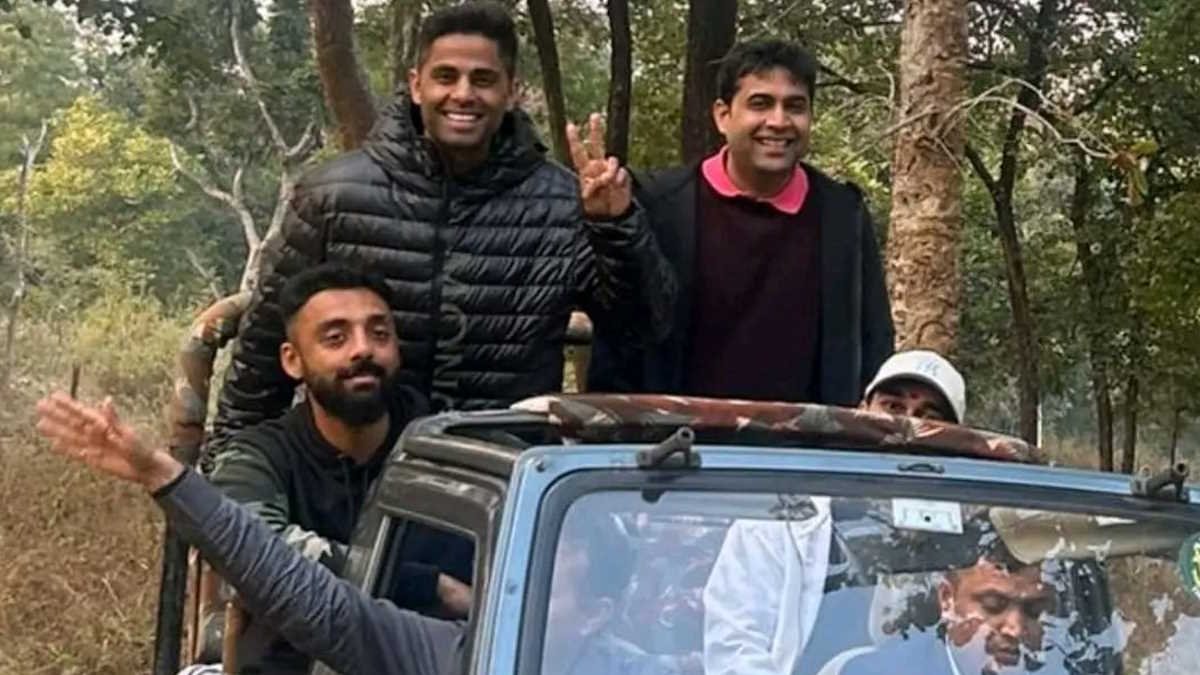 रायपुर T20 मैच से पहले ‘सूर्या सेना’ की जंगल सफारी, बार नवापारा में वन्य जीवन का टीम इंडिया के सितारों ने किया दीदार