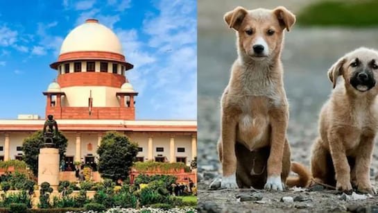 Supreme Court का बड़ा फैसला, कहा- कुत्ते ने काटा तो राज्य सरकार देगी मुआवजा