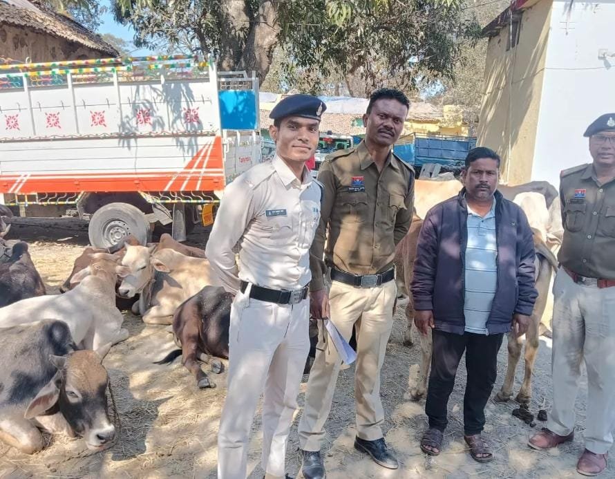 ऑपरेशन शंखनाद: 32 गौवंश मुक्त, मशहूर मवेशी तस्कर गिरफ्तार