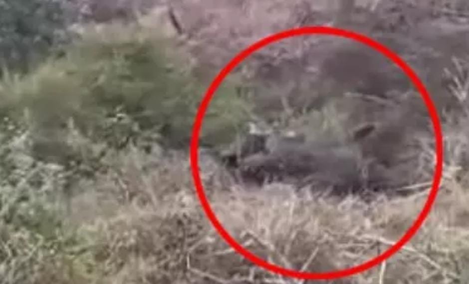 60 फीट गहरी खाई में गिरा ट्रैक्टर, चालक की मौके पर मौत