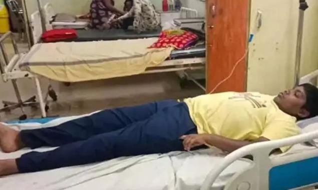 Dhamtari में मधुमक्खियों का कहर: रुद्री रोड पर अचानक हमला, छात्र-शिक्षक समेत 5 घायल, एक की हालत गंभीर