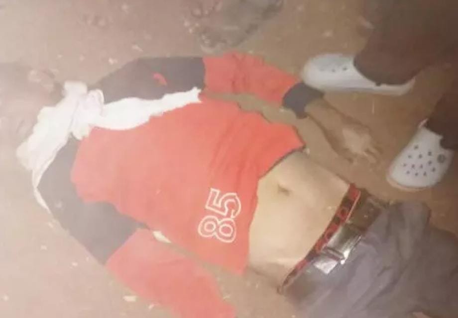 मस्तूरी में ट्रक की टक्कर से मां-बेटे की मौत, पचपेड़ी में ट्रैक्टर तालाब में गिरा; चालक की जान गई