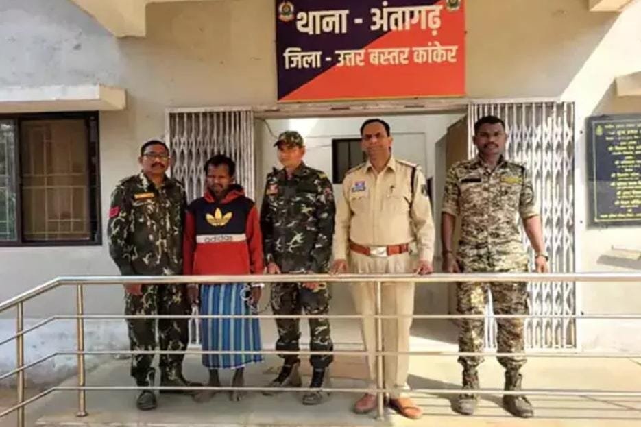 Kanker में अवैध गांजा खेती का भंडाफोड़