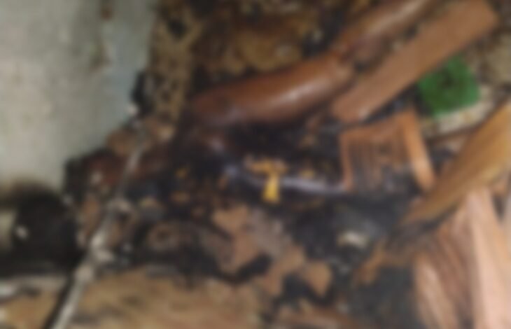 Durg में टीचर ने खुद को लगाई आग, सुसाइड नोट में लिखी शारीरिक परेशानी की बात