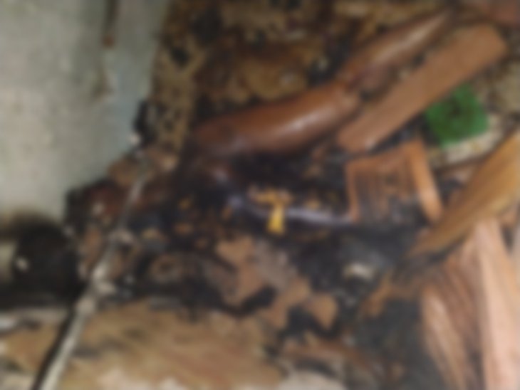 Durg में टीचर ने खुद को लगाई आग, सुसाइड नोट में लिखी शारीरिक परेशानी की बात