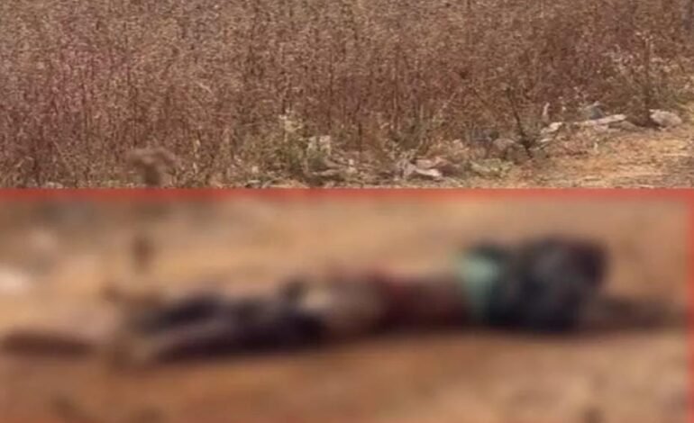 Raipur: खरोरा में युवक की क्रूर हत्या का खुलासा, पत्नी निकली मुख्य साजिशकर्ता